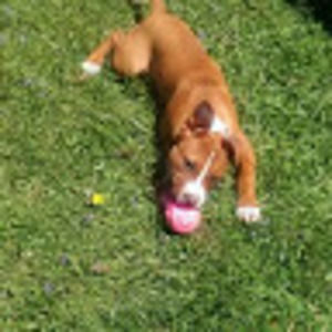 Meet your Posher, Shona